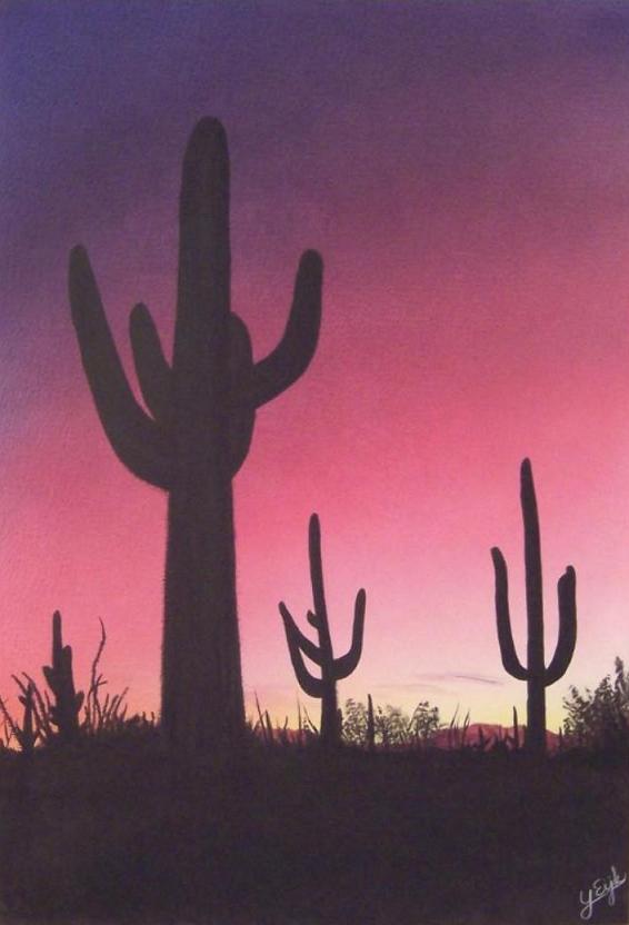 Sunset In Arizona - 