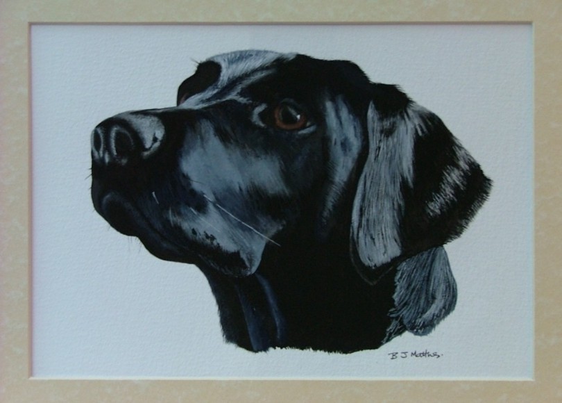 Lola - 