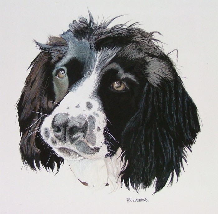 Molly - 