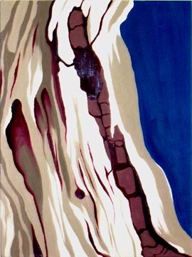 Driftwood - 