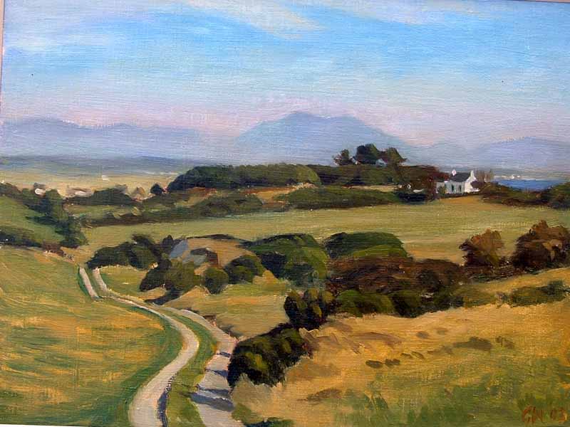 Anglesey Landscape - 