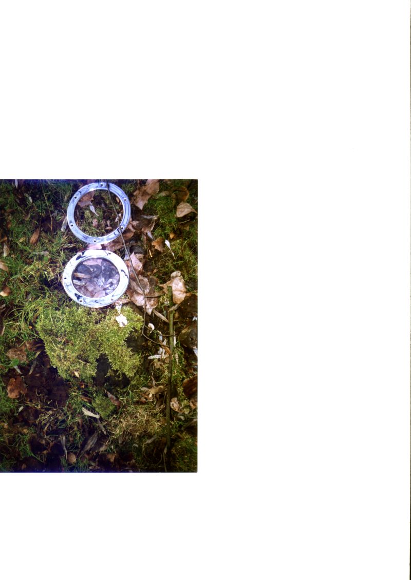 Vision Fugitve - 