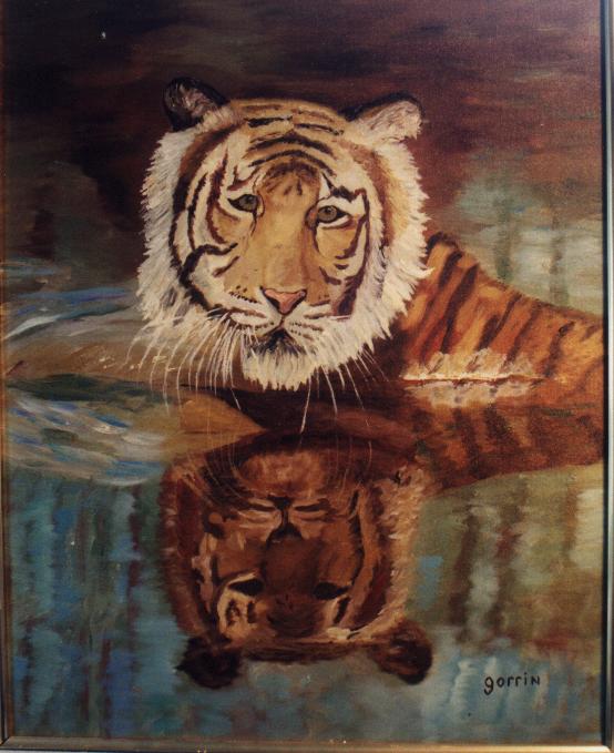Cool Cat - 
