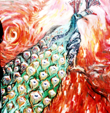 Peacock - 