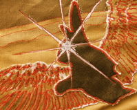 Flying Bunny - 