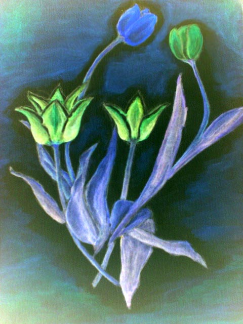 Flores - 