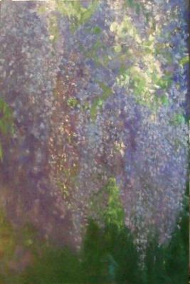 Wisteria - 