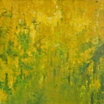 Golden Rain Laburnum - 