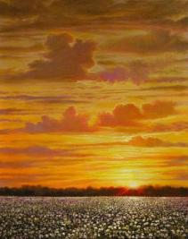 Delta Sunset - 