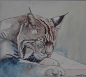 AFter Dinner-Bobcat - 