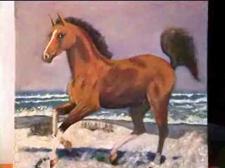 Sandstorming Neddy - 