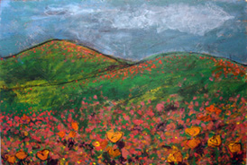 Coquelicots - 