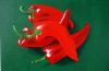 RED PEPPERS - 