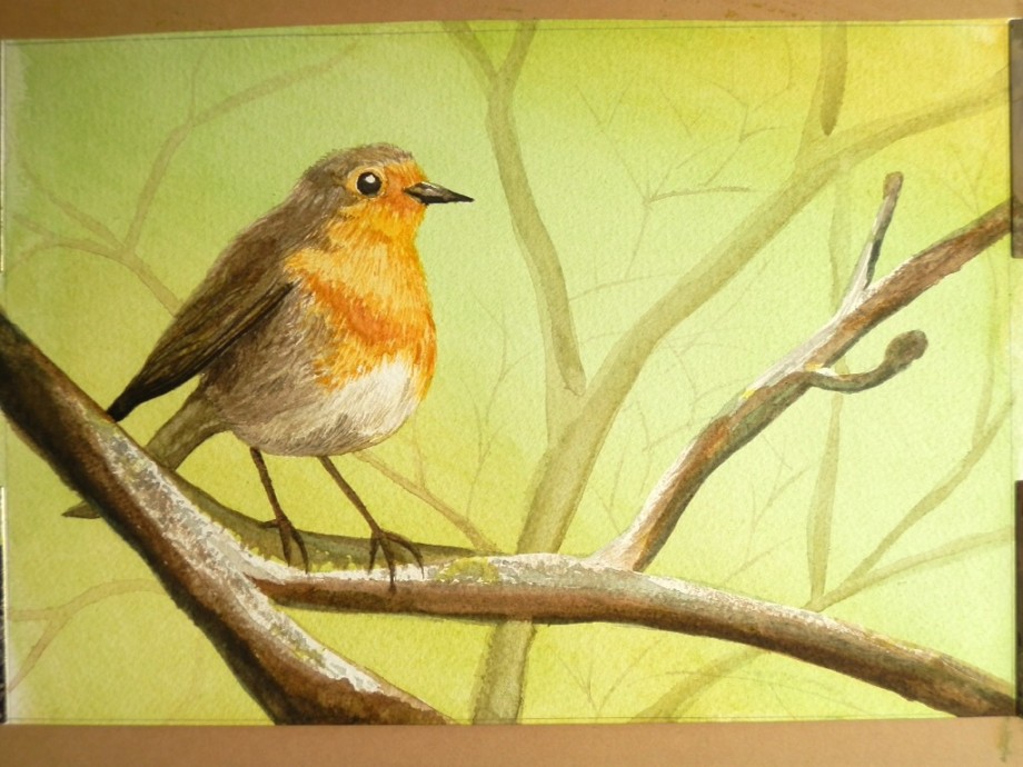 Robin Perched On A Branch - 