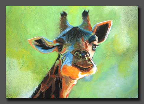 Girraffe - 