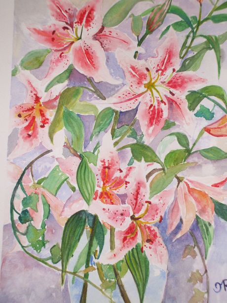 Stargazers - 