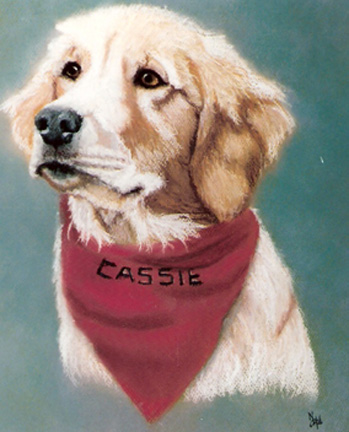 Cassie Dog - 