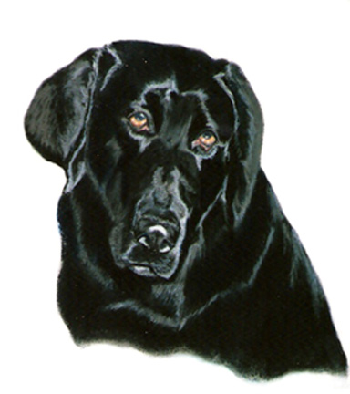 Clyde - 