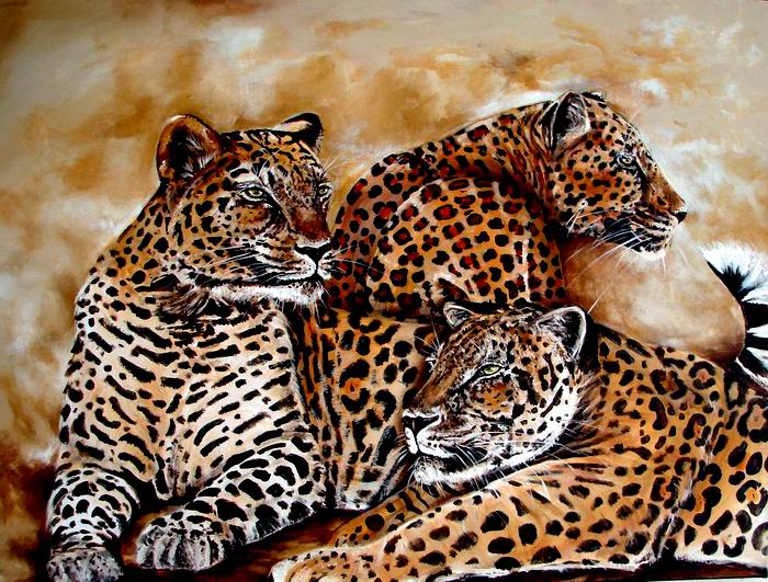 Three Leopards - 
