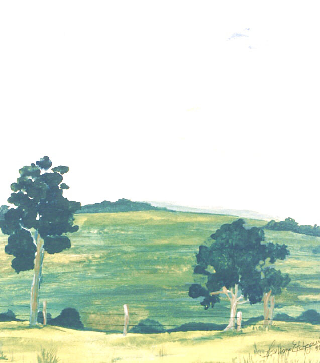 Landscape Of The Pampas - 