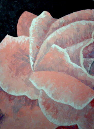 Rose - 