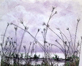 Pond In Autumn - 