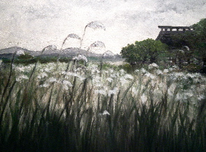 Pampas Grass - 