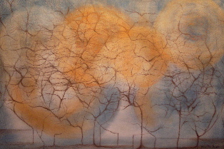 Abstract 1 - 