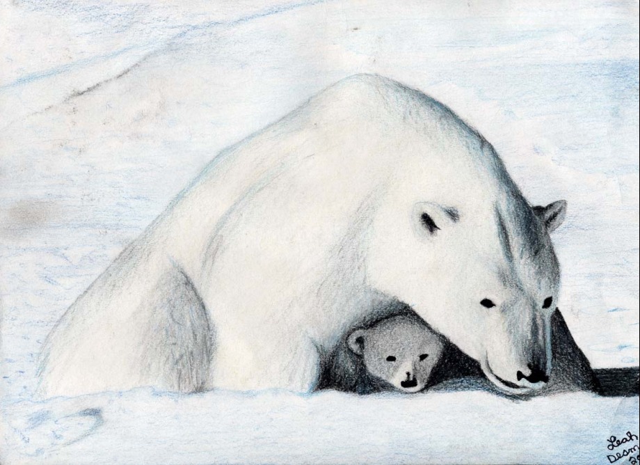 The Protector - 