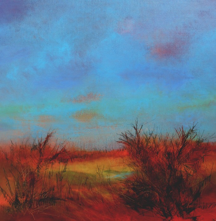 Dartmoor 1 - 