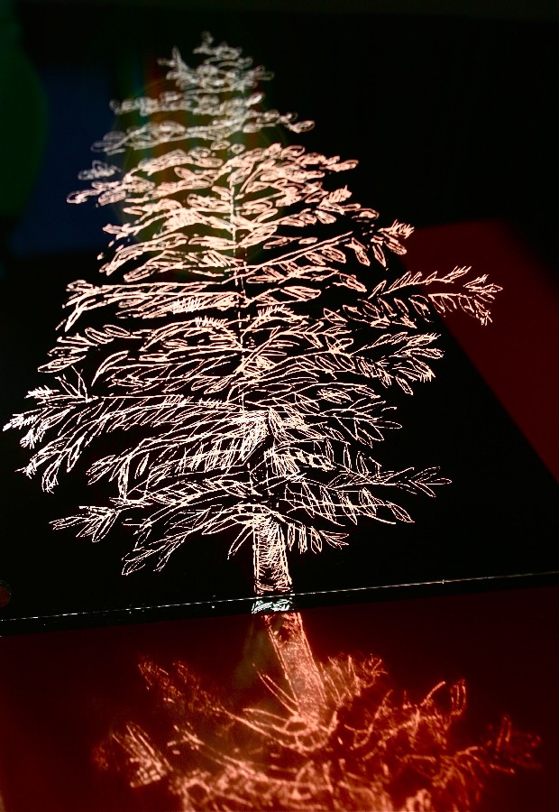 Untitled - 