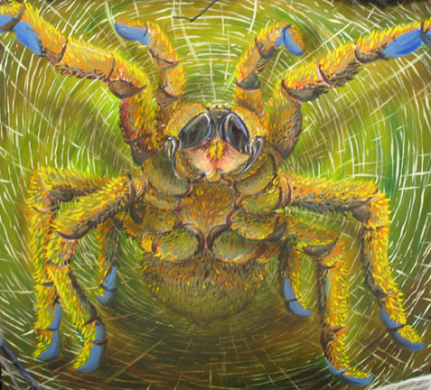 Spider Spider - 