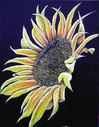 Sunflower Show - 