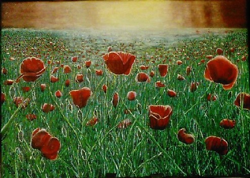 Sunshine Red - 