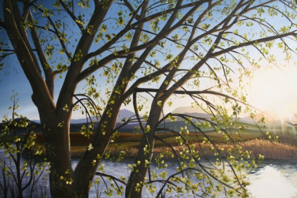 River At Sunset - 