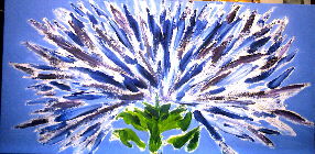Fiordaliso - 