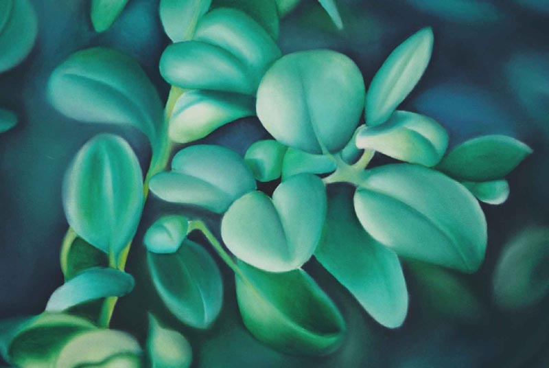 Leaves - 