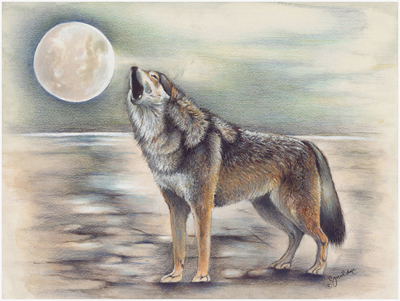 Wolf And The Moon - 