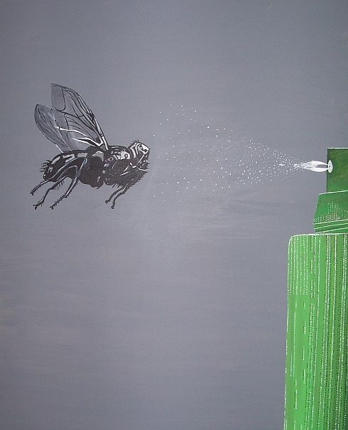 Fly Spray - 