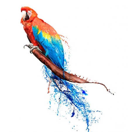liquid_color by Stefan Chinoff