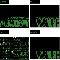 Virus Music: Logo designs for a music company