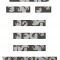 Fonts Can Be Much More Than Reading (A-Level)