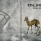 Let The River Take Them Home -Pinebox Serenade