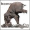 Electrolight "Home"
