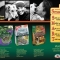 SmartTreater Ad