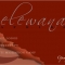 Elewana Billboard