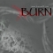 cd cover