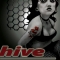Main Image for Hive Campaigne