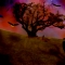LIfe After Death
