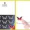 Butterfly Greeting Card